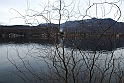 Avigliana Lago Grande In Inverno_088